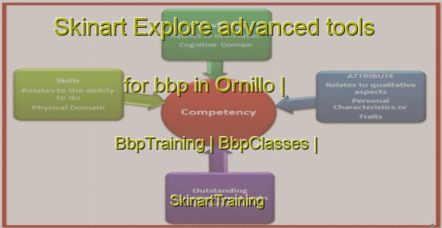 Skinart Explore advanced tools for bbp in Ornillo | BbpTraining | BbpClasses | SkinartTraining-Peru